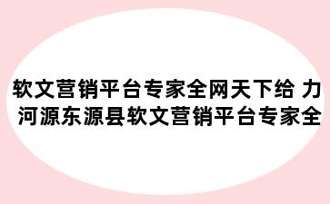 软文营销平台专家全网天下给 力 河源东源县软文营销平台专家全网天下给 力